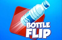 Bottle Flip