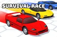 Survival Race